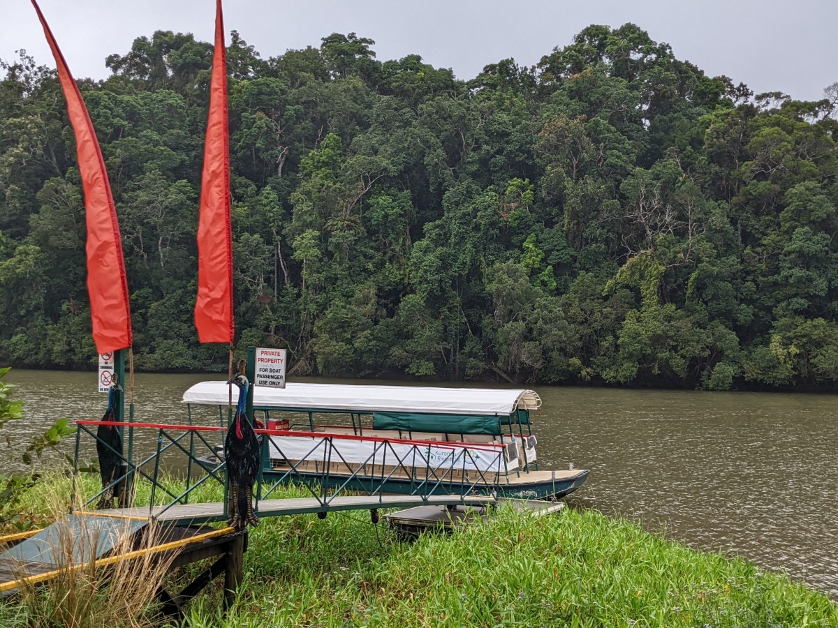 image of Kuranda Riverboat