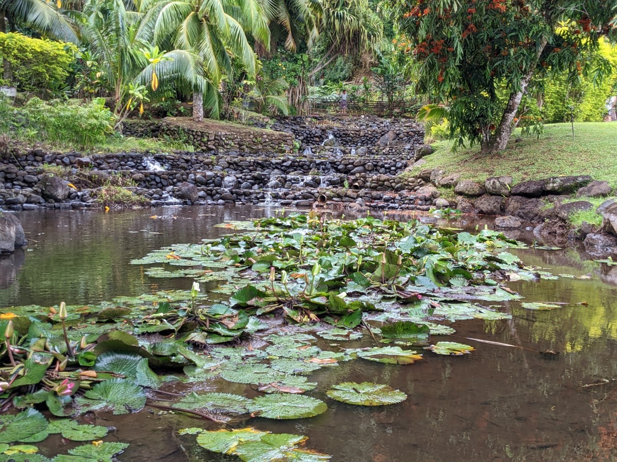 image of Water Gardens Vaipahi