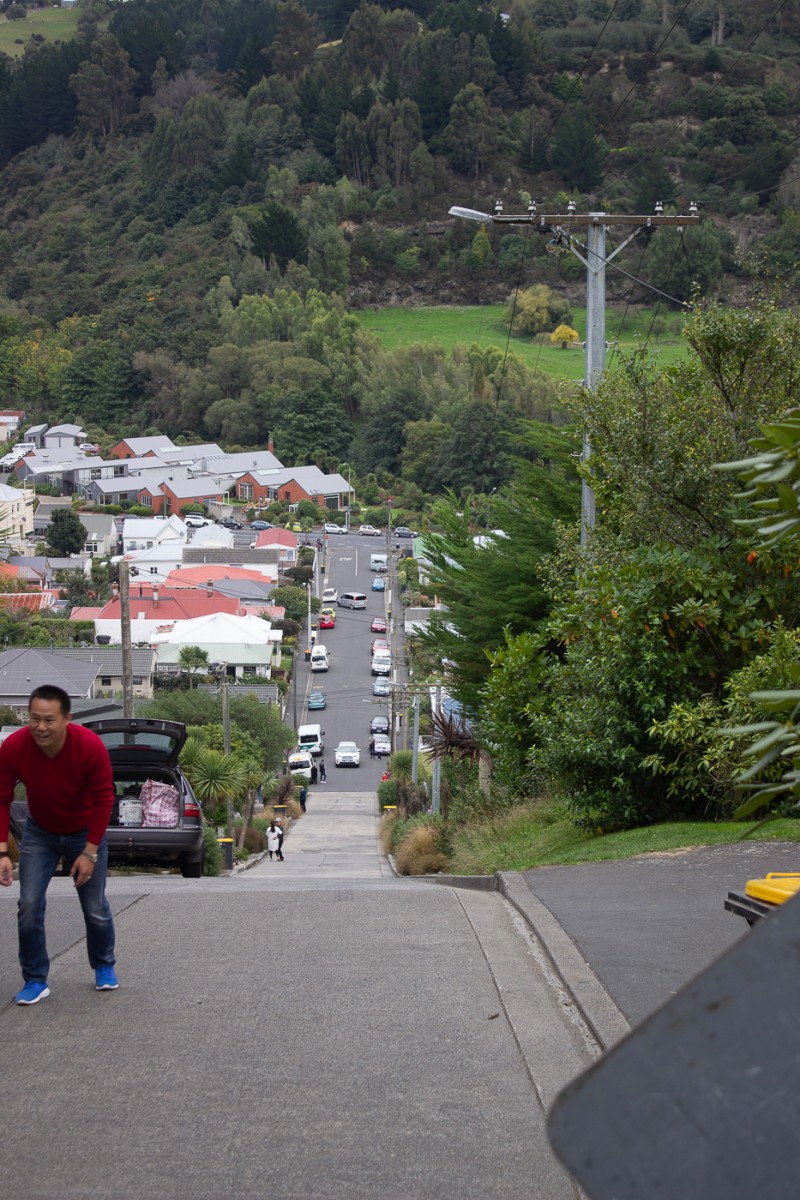image of Baldwin Street - The Steepest Street in the World