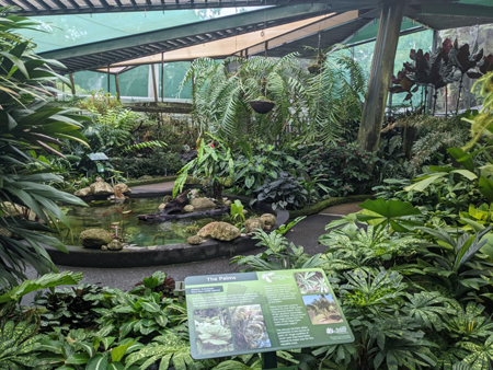 image of Cairns Botanic Gardens (Flecker Gardens) - click to enlarge