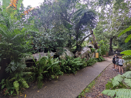 image of Ruins of Plane Wreck - click to enlarge