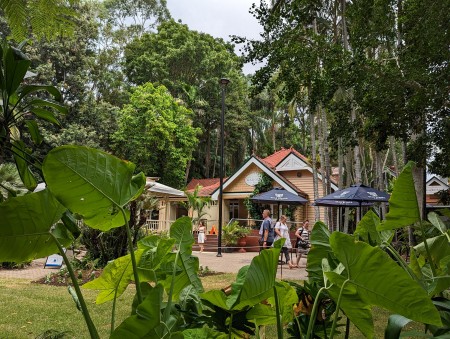 image of Brisbane City Botanic Gardens - click to enlarge