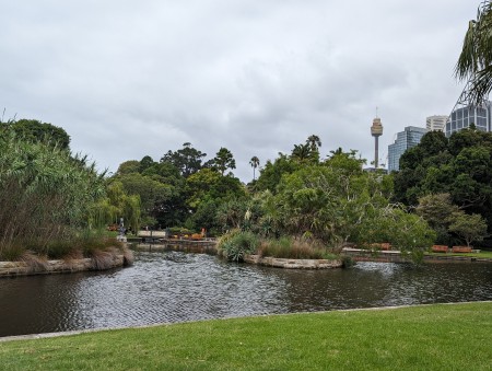 image of Royal Botanic Garden Sydney - click to enlarge