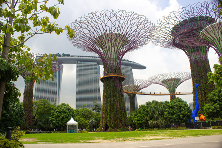 image of Gardens by the Bay - click to enlarge