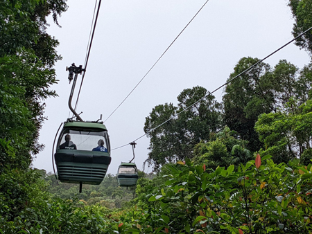 image of Skyrail Rainforest Cableway - click to enlarge