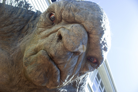 image of Weta Cave