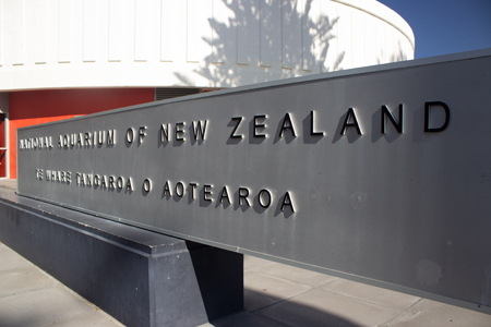 image of The National Aquarium of New Zealand