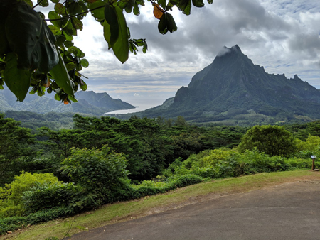 image of Moorea - click to enlarge